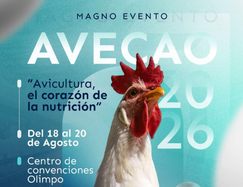 Logo AVECAO